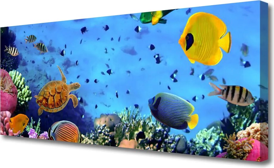 Obraz na płótnie Podwodny Świat Rafy Koralowej