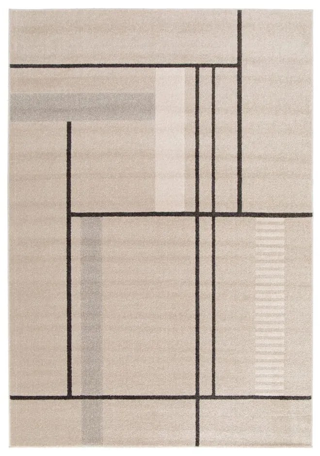 Beżowy dywan 120x170 cm Domus – Universal