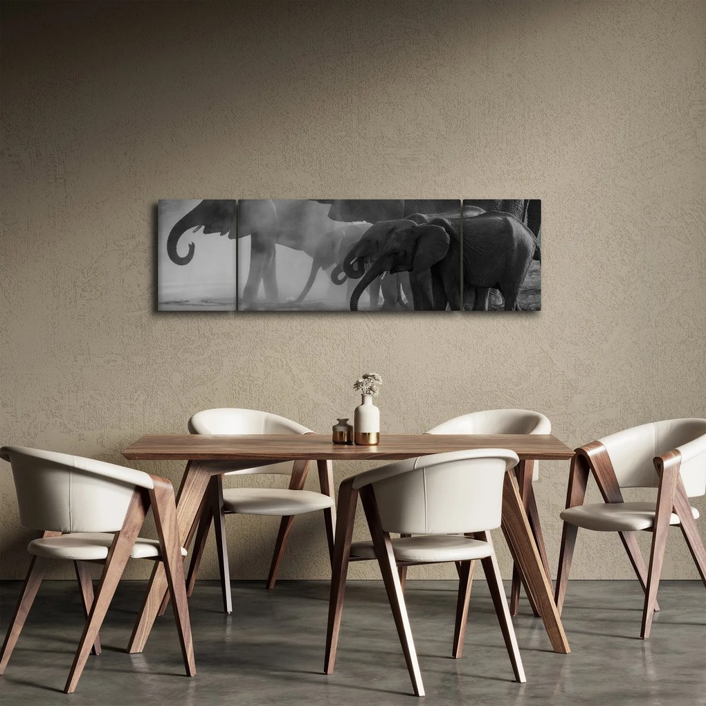 Obraz słoni - czarno - biały (170x50 cm)