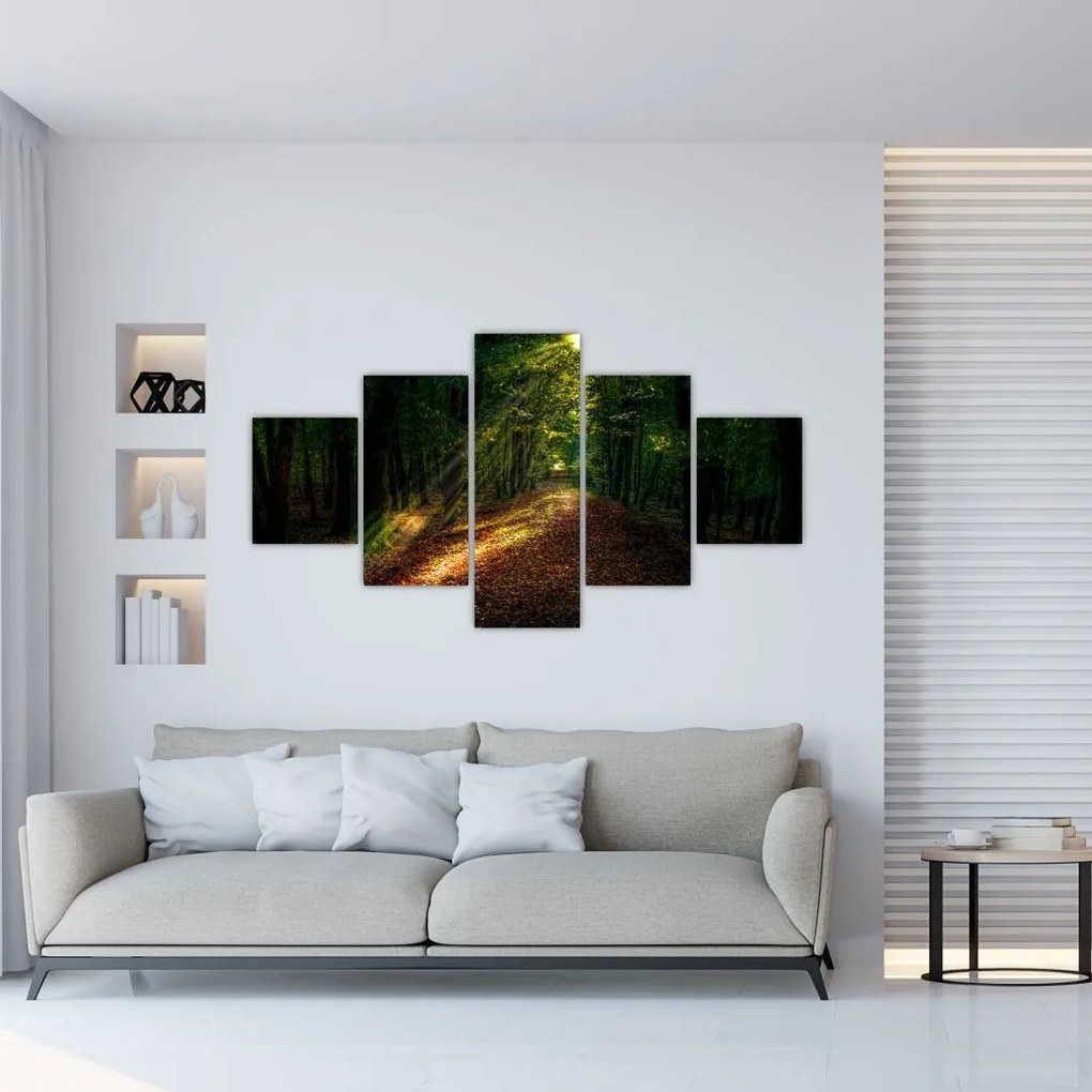 Obraz leśnej ścieżki (125x70 cm)