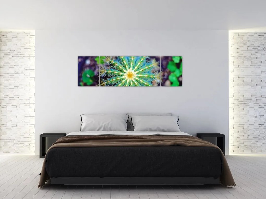 Obraz kaktusa (170x50 cm)