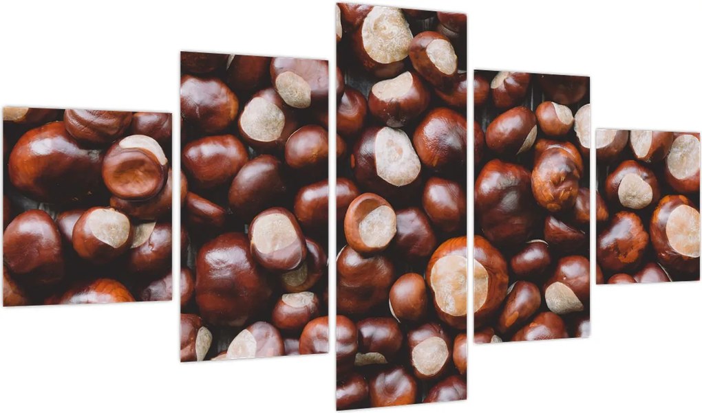 Obraz - Dojrzałe kasztany (125x70 cm)