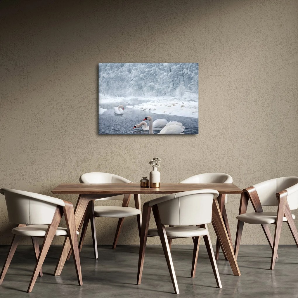 Obraz łabędzi (70x50 cm)