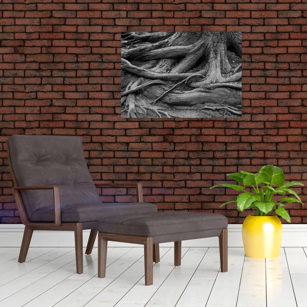 Obraz - Korzenie drzewa (70x50 cm)