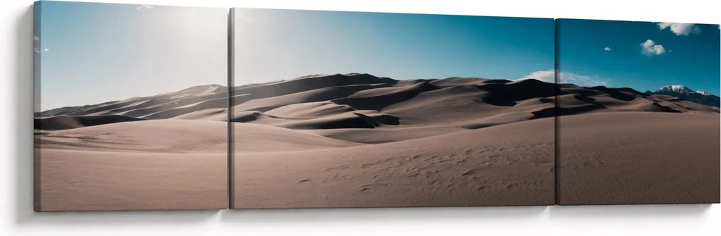 Obraz - Z pustyni (170x50 cm)