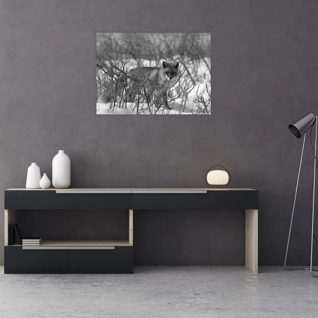 Obraz - Lis w zimie (70x50 cm)