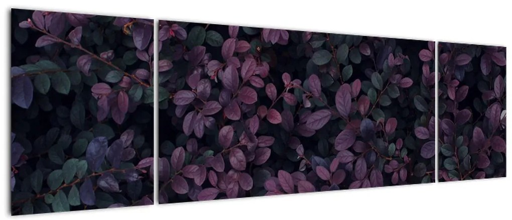 Obraz ciemnoczerwonych liści (170x50 cm)