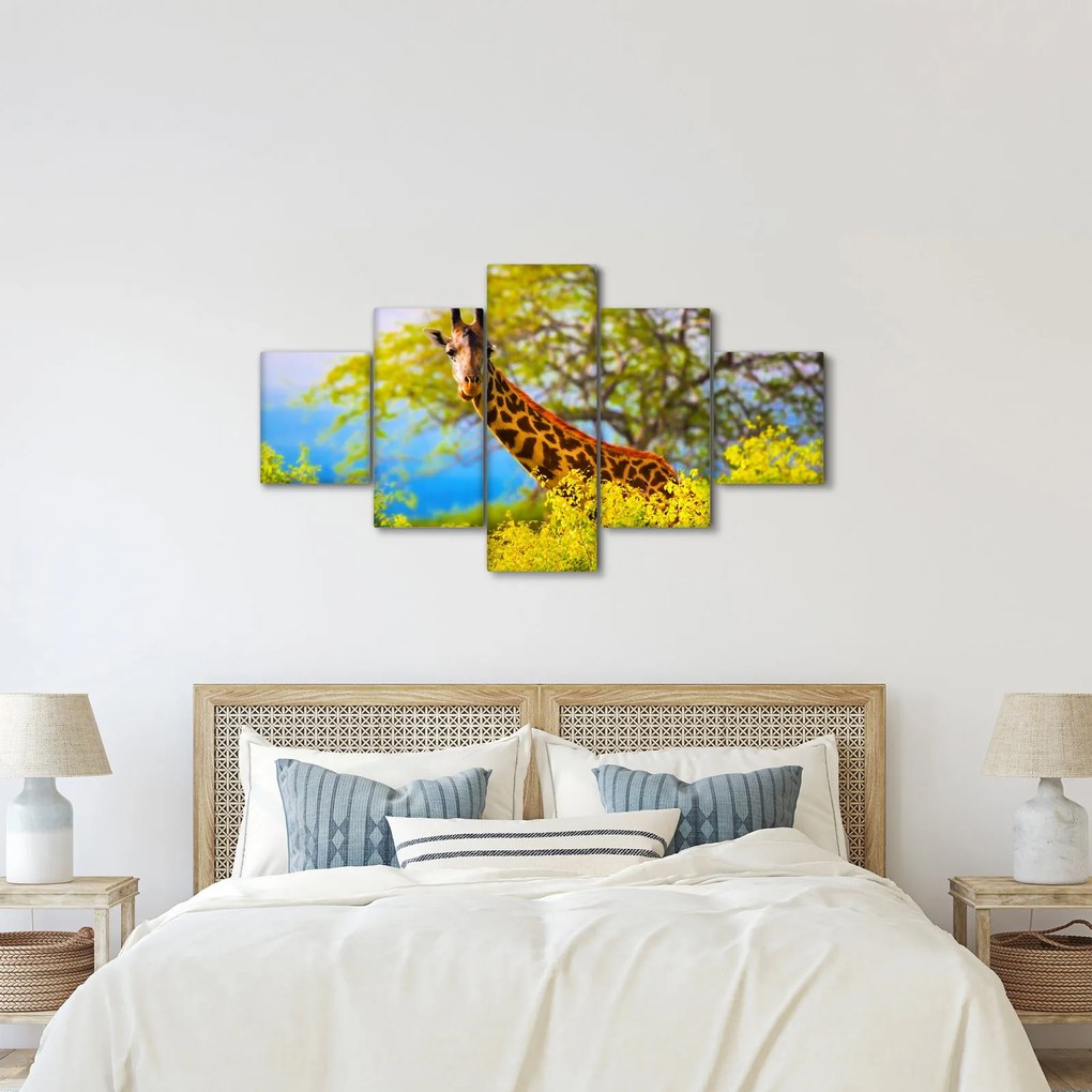 Obraz żyrafy w Afryce (125x70 cm)