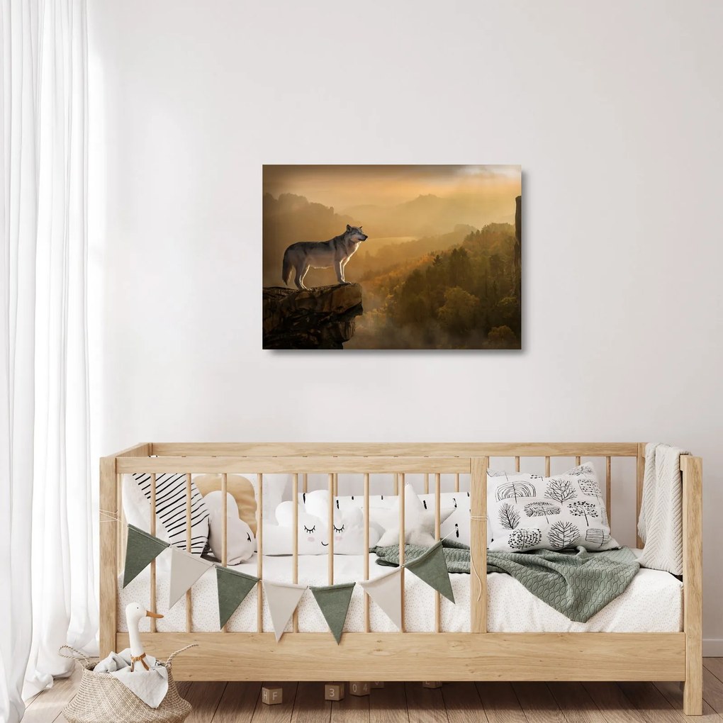 Obraz na szkle wilka na skale (70x50 cm)