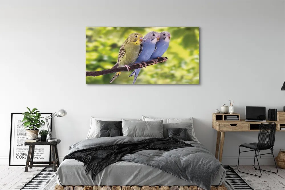Zdjęcie na płótnie Papugi na Tropikalnej Gałęzi