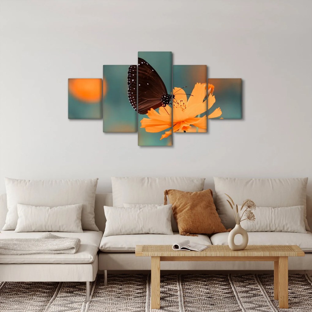 Obraz - motyl na pomarańczowym kwiatku (125x70 cm)