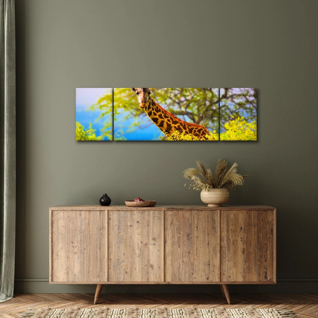 Obraz żyrafy w Afryce (170x50 cm)