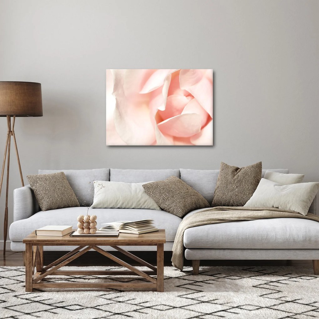 Obraz - Róża (70x50 cm)