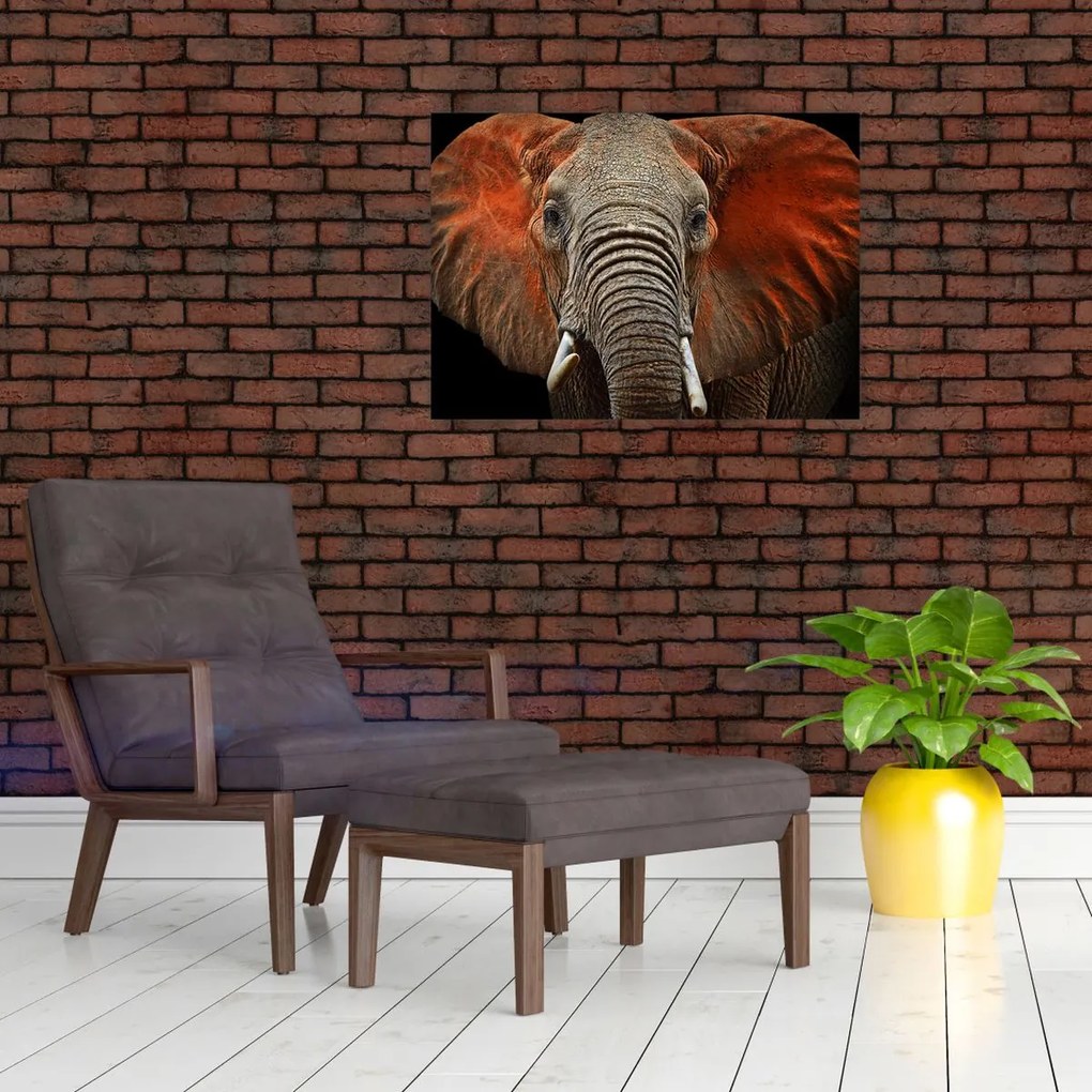 Obraz - Słonie z Tsavo (70x50 cm)