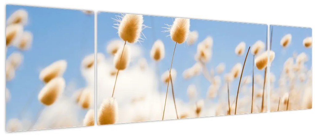 Obraz - Złote pole (170x50 cm)