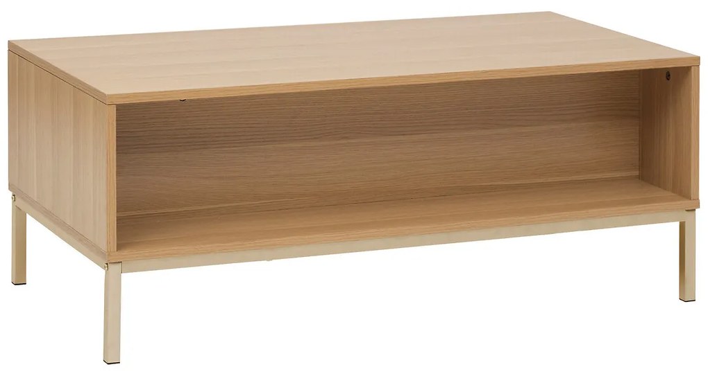 Niski stolik kawowy prostokątny TASSO, 100 x 50 x 40 cm