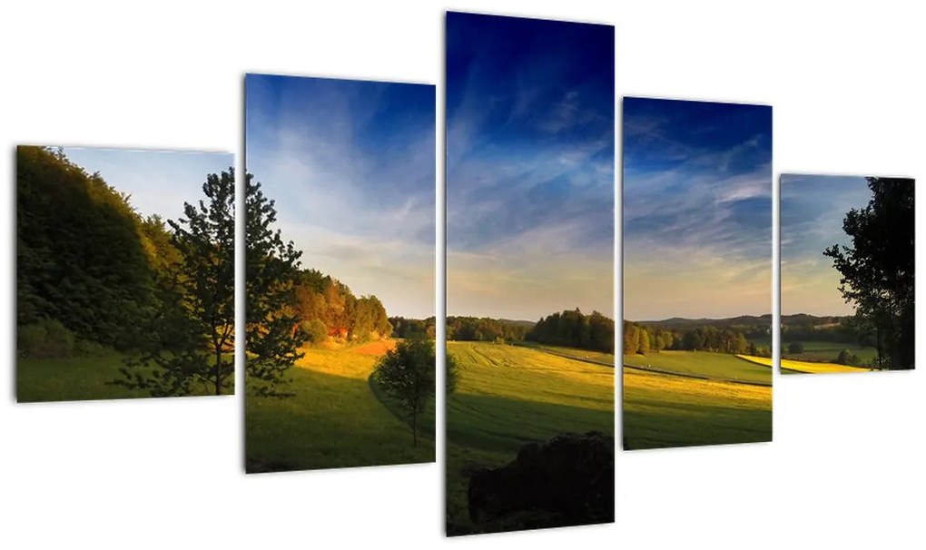 Obraz - Górska łąka (125x70 cm)
