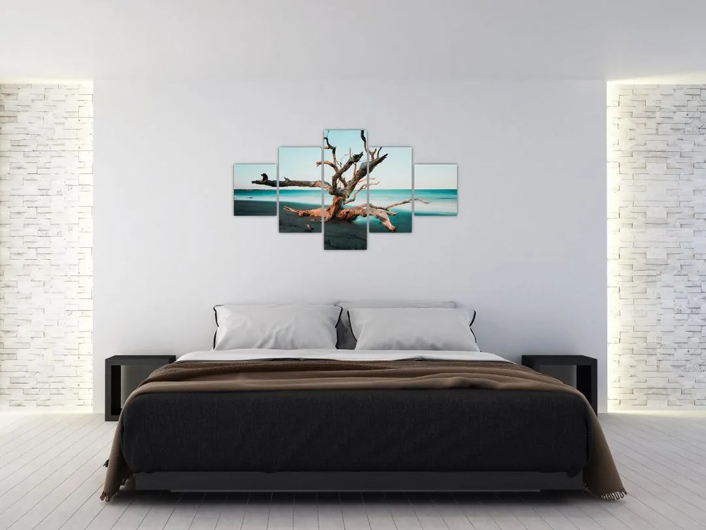 Obraz -  Wyłowiono na plaży (125x70 cm)