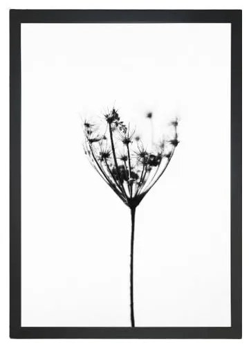 Obraz 23x28 cm Misty Splendor – Vavien Artwork