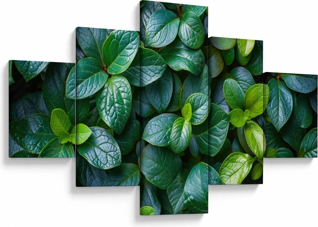 Obraz - Rośliny zielone (125x70 cm)