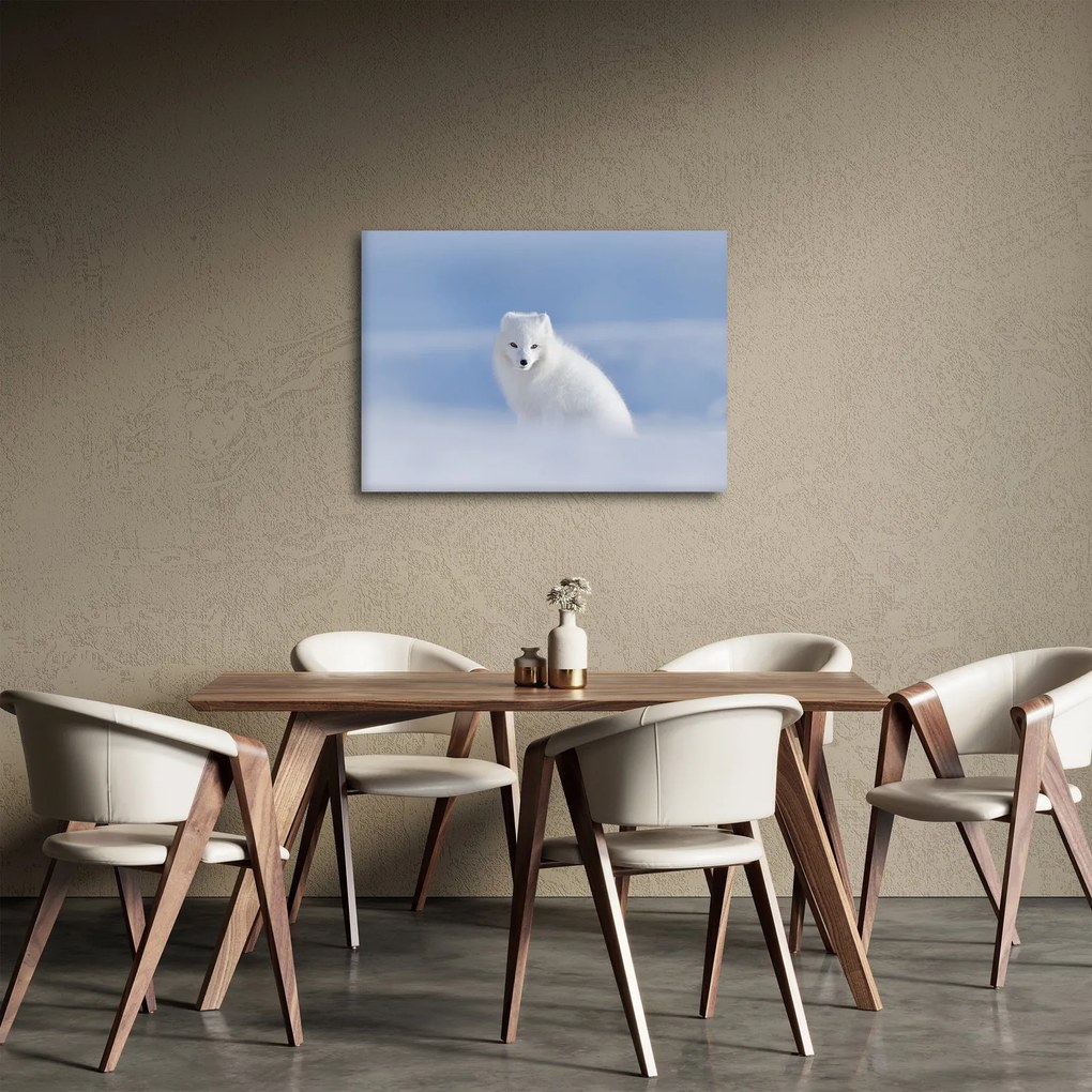 Obraz - Lis polarny (70x50 cm)