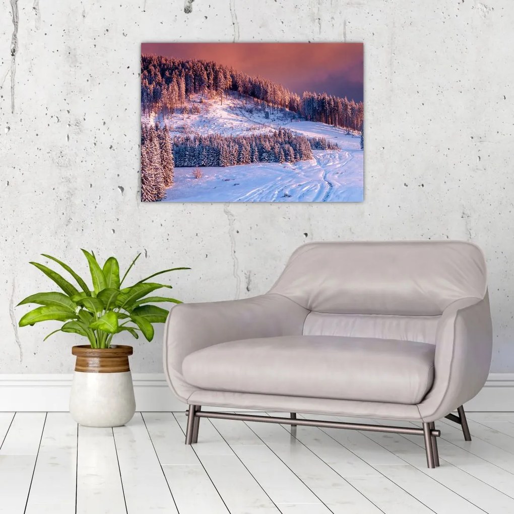 Obraz zimowego krajobrazu (70x50 cm)