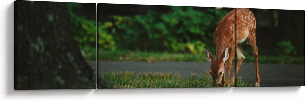 Wizerunek jelonka (170x50 cm)