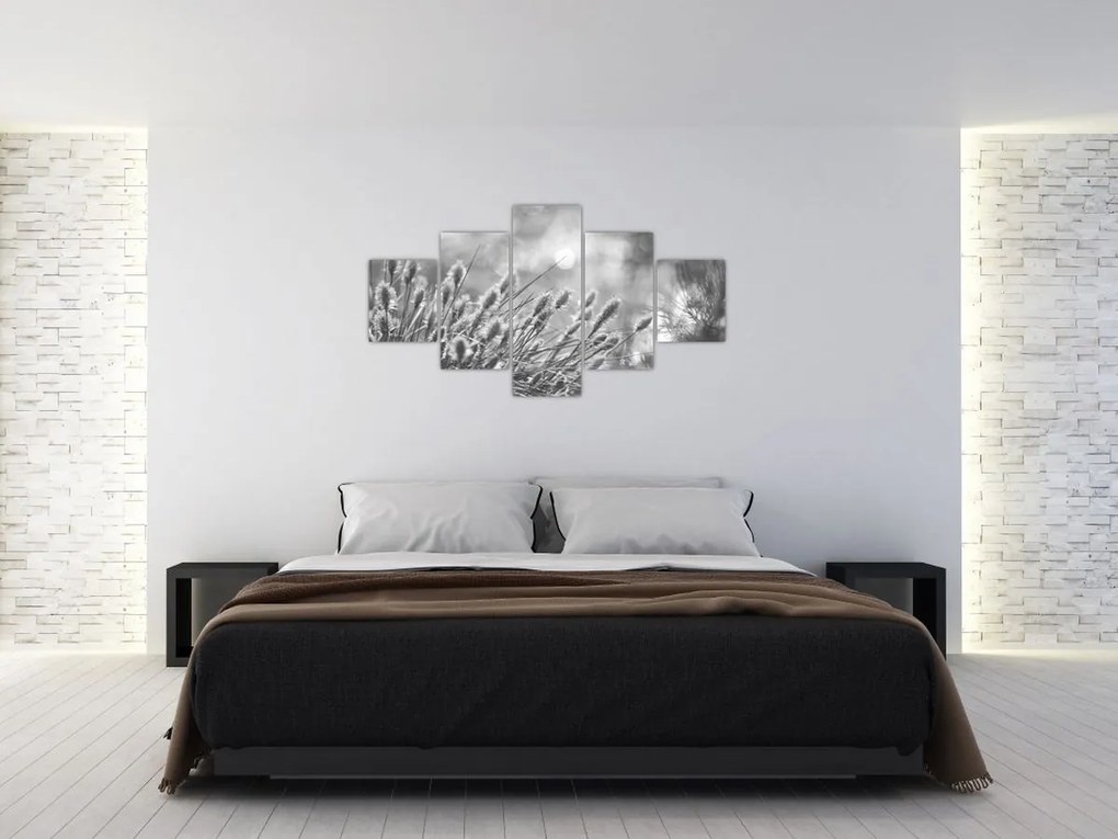 Obraz - Beżowa miękka trawa N⁰1 (125x70 cm)
