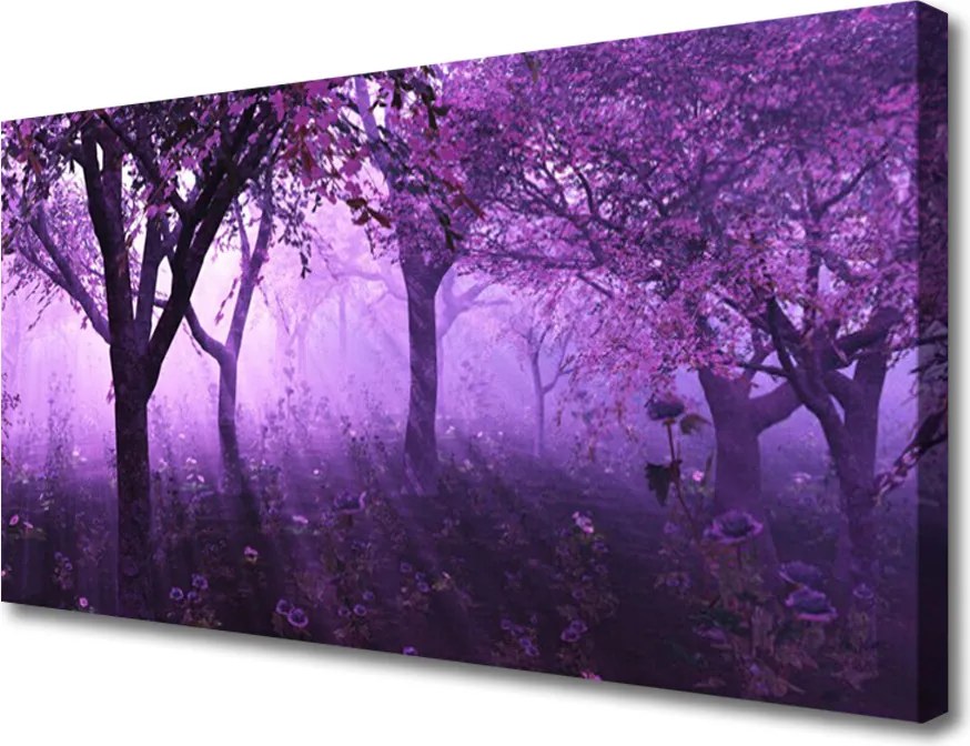 Obraz canvas Sylwetki Drzew o Zmierzchu