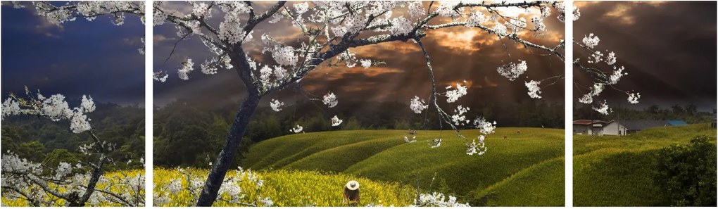 Obraz - Kwitnące drzewo w krajobrazie (170x50 cm)