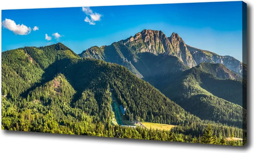 Foto obraz na płótnie Panorama Tatr