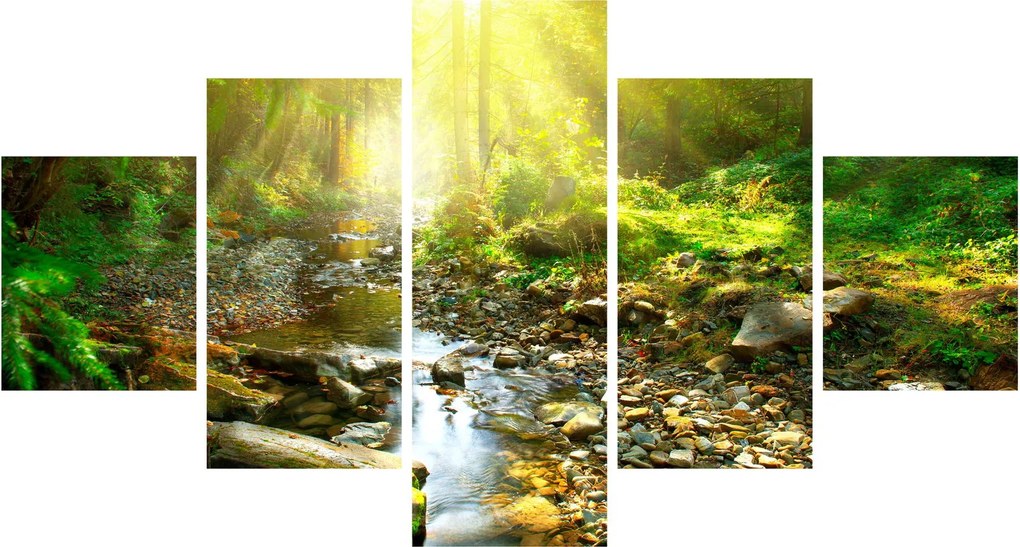 Obraz rzeki w zielonym lesie (125x70 cm)