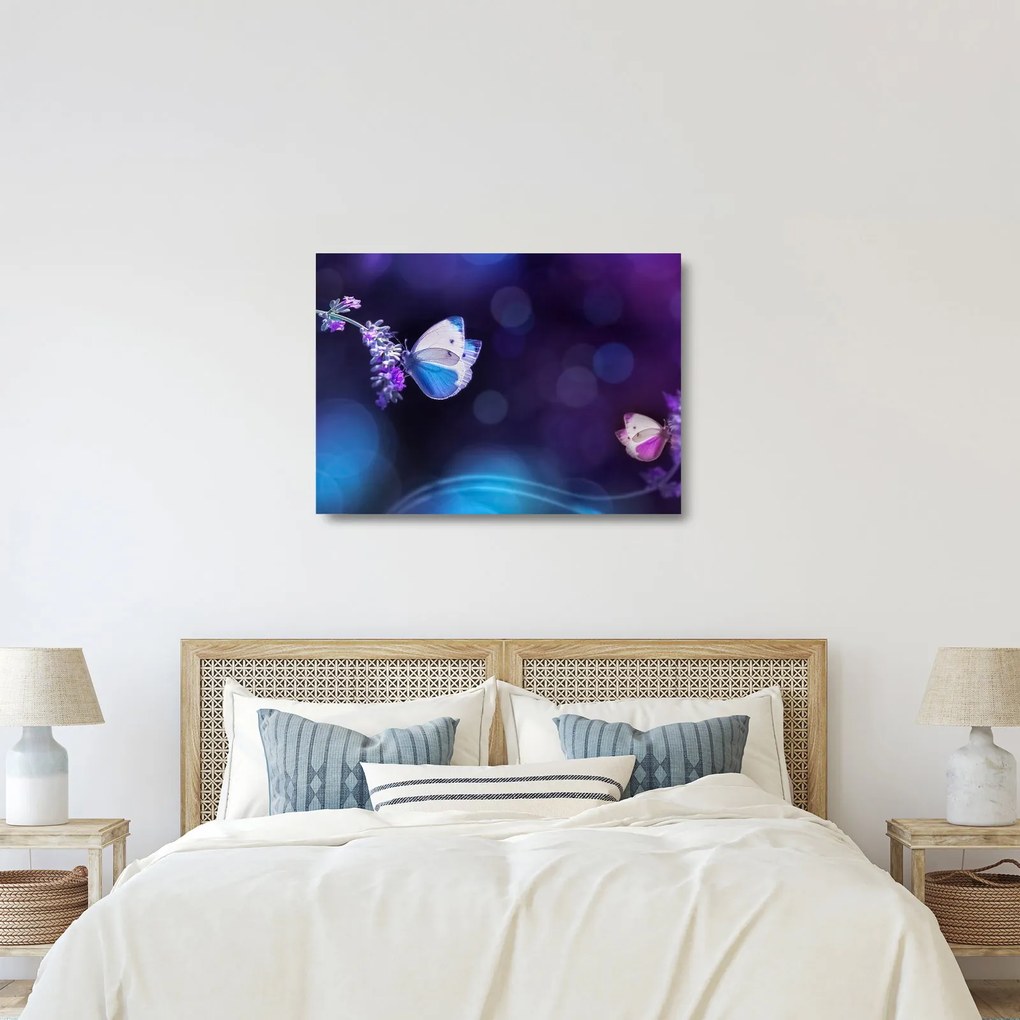 Obraz na szkle - Motyle na lawendie (70x50 cm)