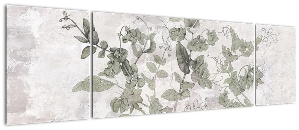 Obraz - Rośliny w gipsie (170x50 cm)