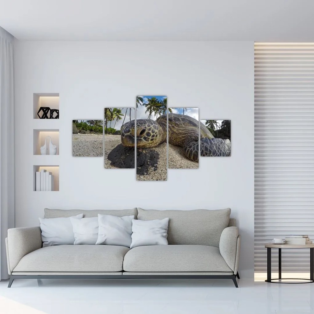 Obraz żółwia (125x70 cm)