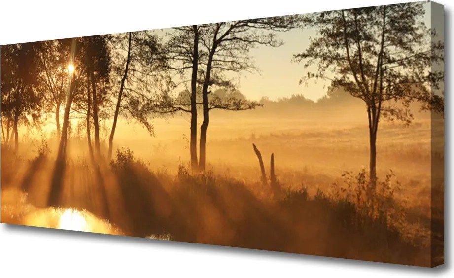 Obraz na płótnie Leśna Gęstwina Drzew