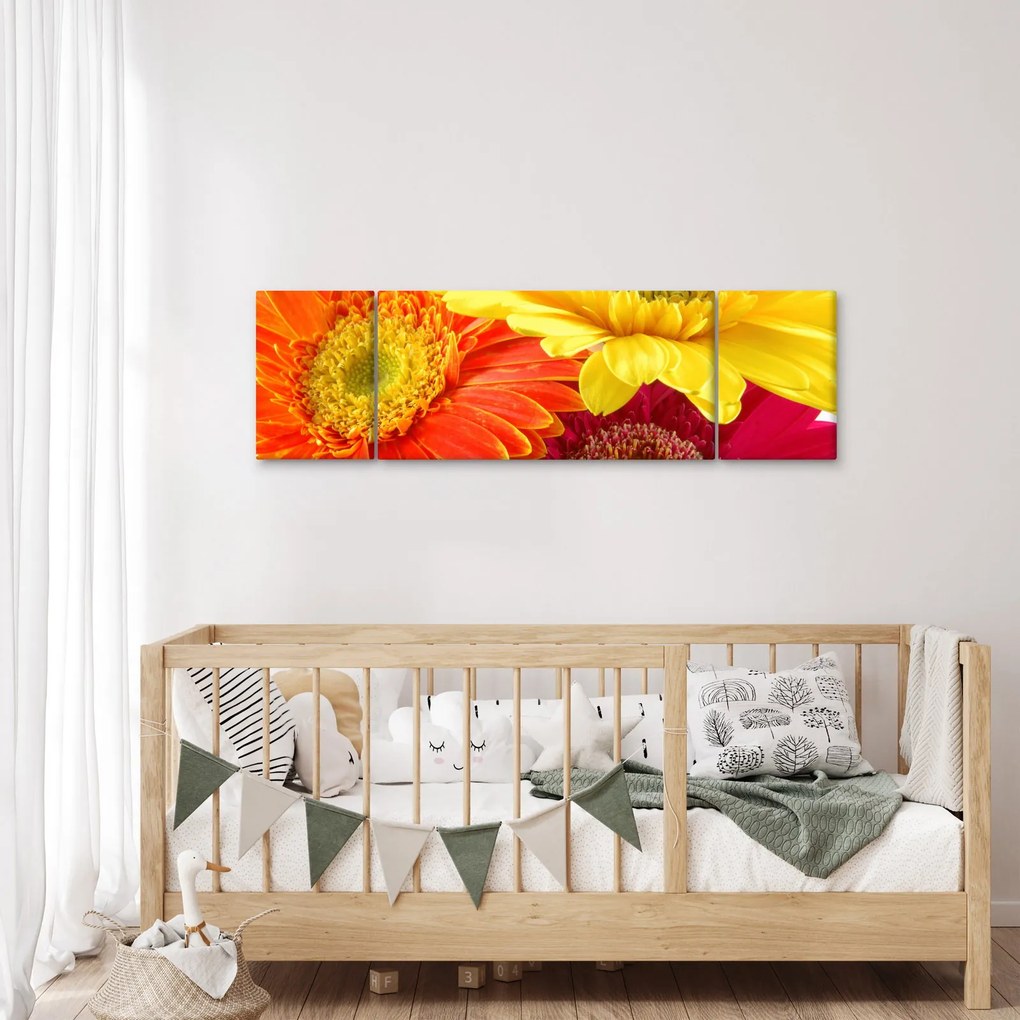 Obraz - Kwiaty Gerbery (170x50 cm)