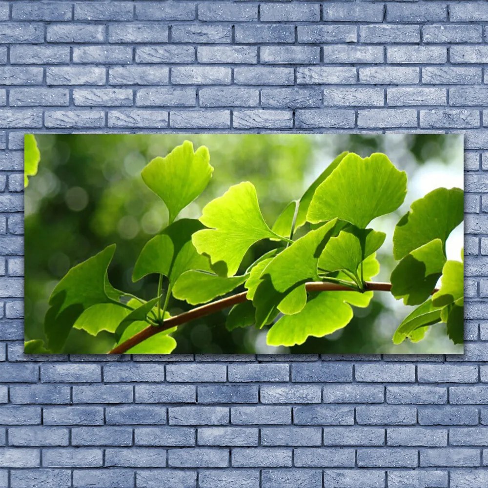 Obraz canvas na ścianę Zielone Liście na Gałęzi