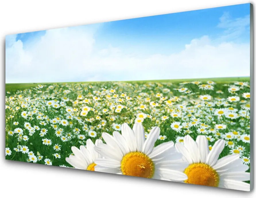 Szkło do Kuchni na Ścianę Dywan Białych Stokrotek