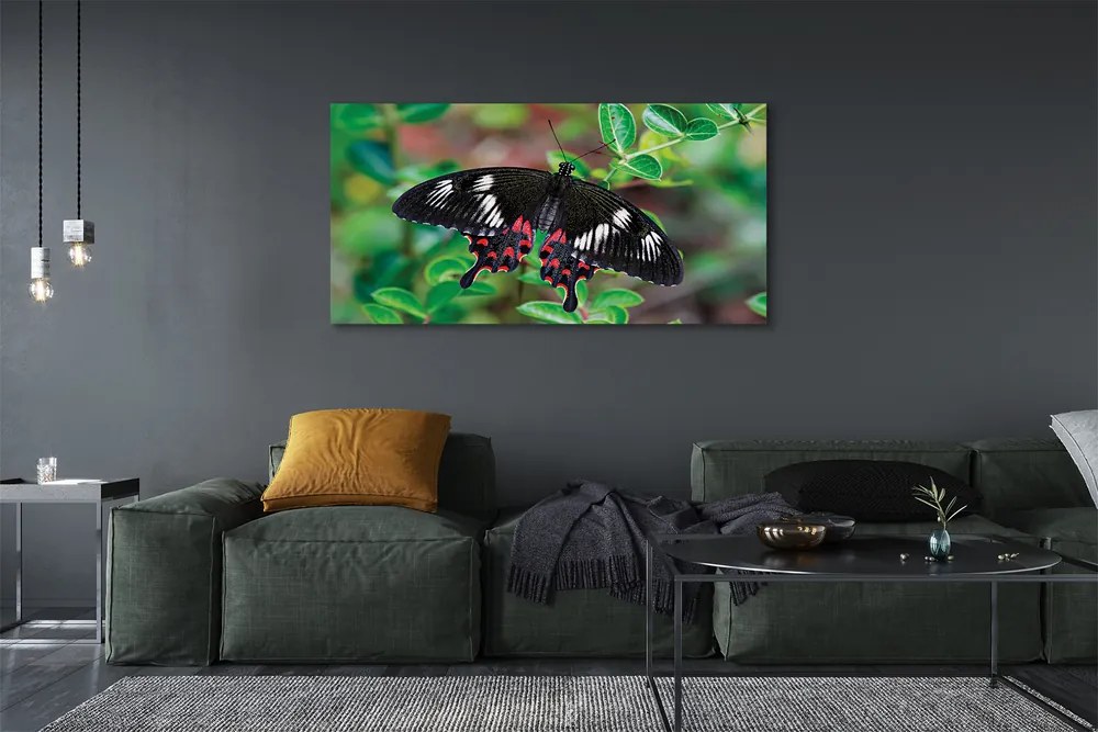 Obraz canvas na ścianę Liście i Kolorowy Motyl