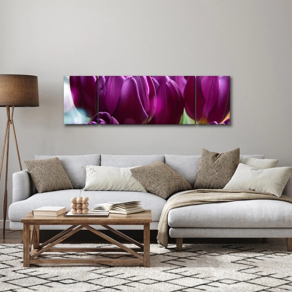 Obraz tulipanów (170x50 cm)