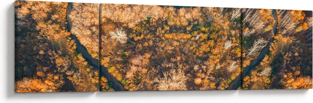 Obraz - Rzeka w kształcie serca (170x50 cm)