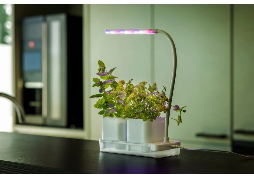 Metalowa stacja do uprawy roślin Lamp – Esschert Design