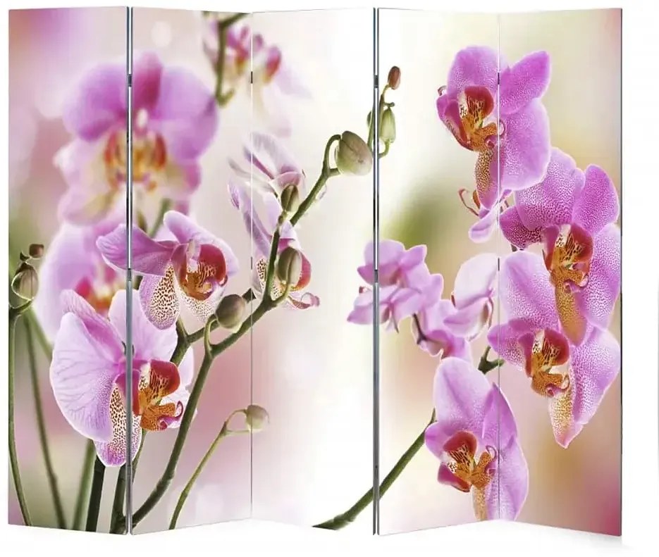 Wewnętrzny parawan z dustronnym nadrukiem P9-W39