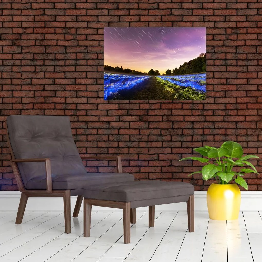 Obraz na szkle - kolorowe pole (70x50 cm)