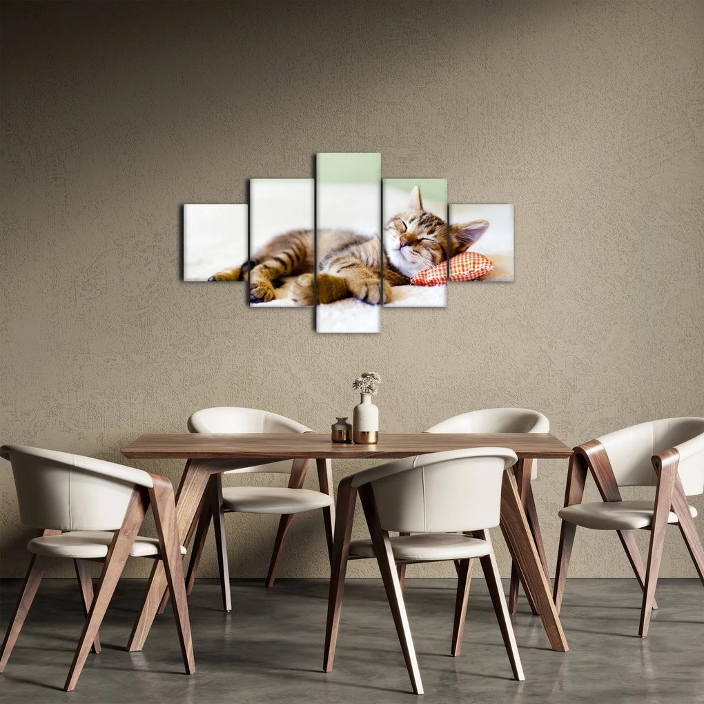 Obraz - Śpiący kotek (125x70 cm)