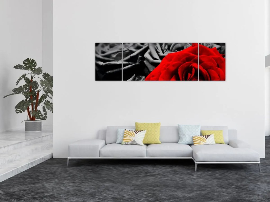 Obraz - Róże (170x50 cm)