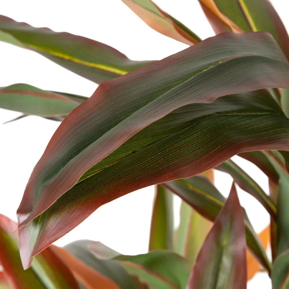 Sztuczna roślina (wysokość 140 cm) Dracena – Ixia