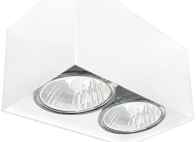 Brosline 1077 - Oprawa punktowa CAGE 2xGU10/10W/230V biała