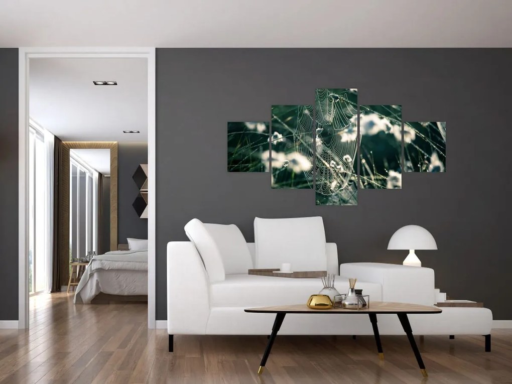 Obraz - Pajęczyna (125x70 cm)